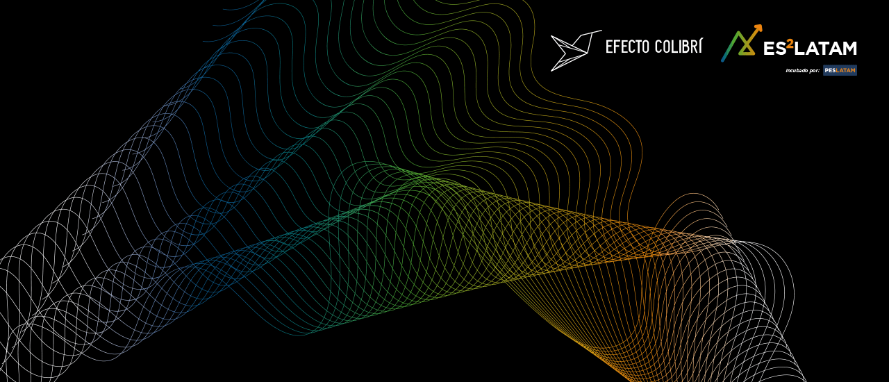 Post Perfil ES2 Latam y Efecto Colibrí: acelerando ecosistemas de impacto imagen de Alianza Header Es Latam Efectocolibri