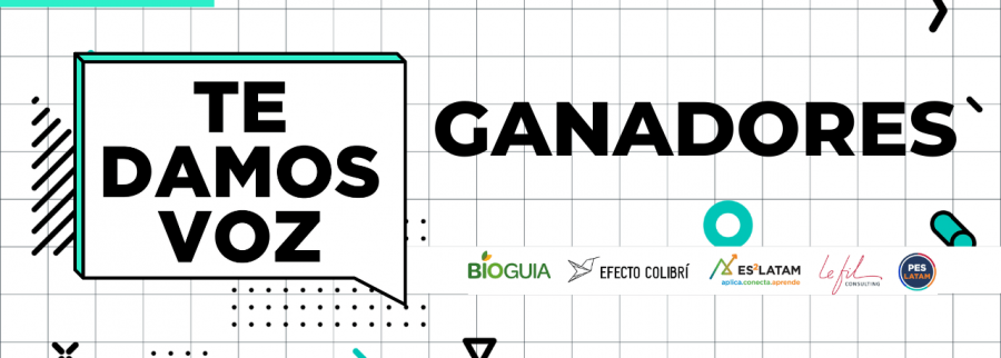 Imagen previa del artículo
