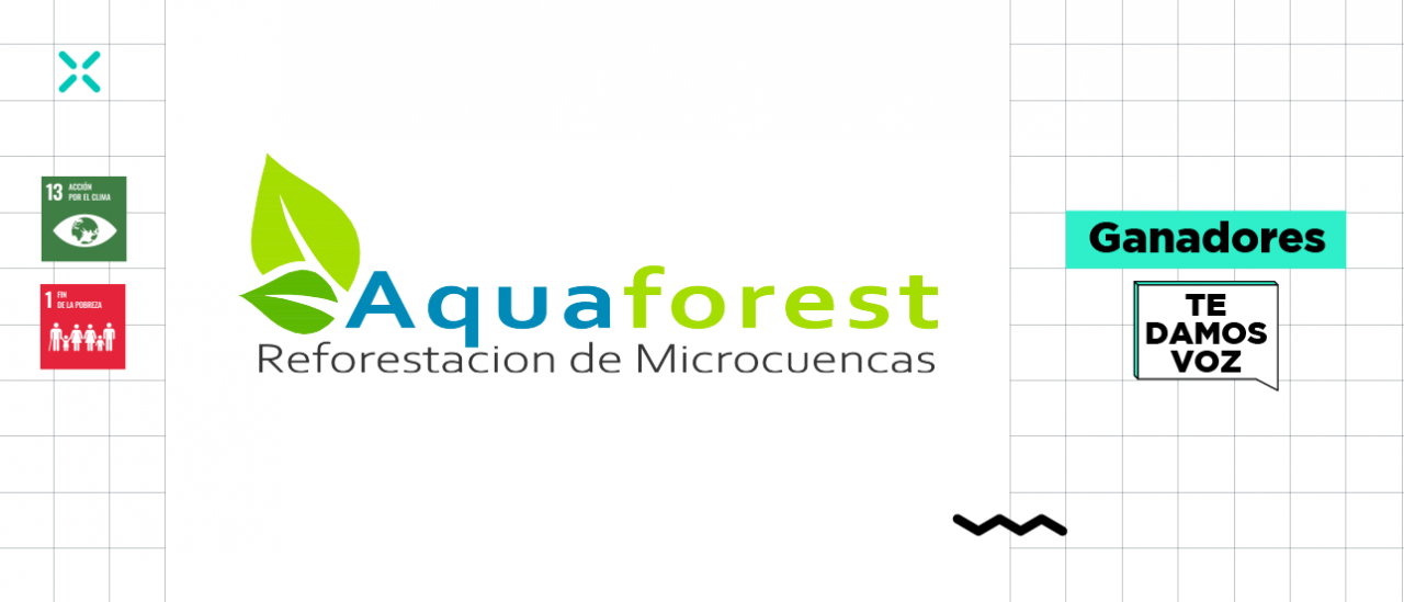 Post Perfil Pixdea: Educación en 4D – Costa Rica imagen de Blog Aquaforest