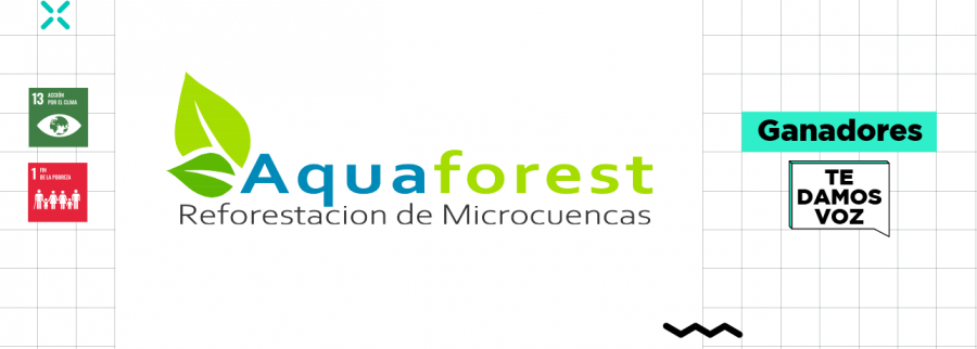 Imagen previa del artículo