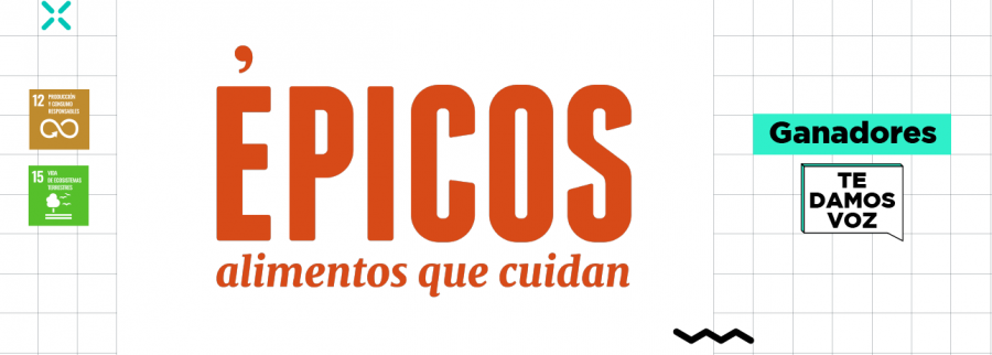 Imagen previa del artículo