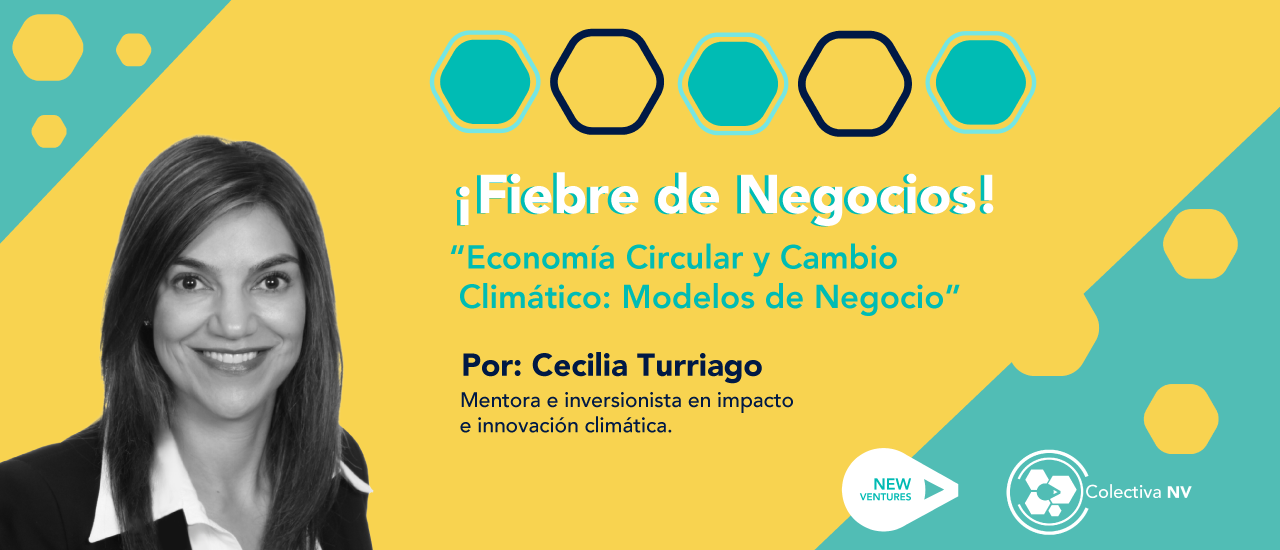 Post Perfil Economía Circular y Cambio Climático: Modelos de Negocio imagen de February
