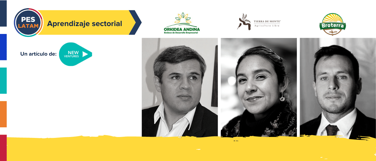 Post Perfil Fintech y el cambio sistémico en el ecosistema latinoamericano: 5 aspectos clave imagen de Blog Header Agricultura