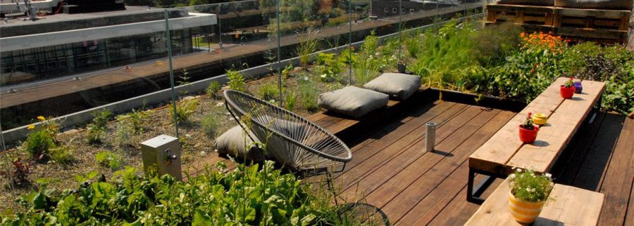 Cover image of ECO ROOF S.A.P.I. DE C.V., Agritech venture on VC4A