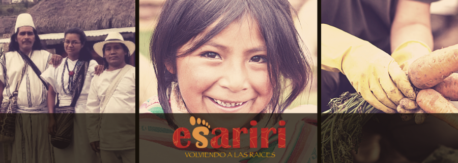 Cover image of Esariri, E-commerce venture on VC4A