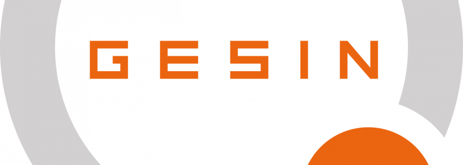 Cover image of GESIN, Computer games venture on VC4A