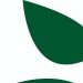 Venture Profile Tecnibio S.A. image of Logo Vectorizado Tecnibio S A