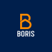 Venture Profile Boris image of RRSS Boris