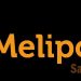 Venture Profile Meliponia image of Meliponia Fondo Blanco