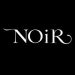 Venture Profile Noir Diseño Alternativo SAPI de CV image of 