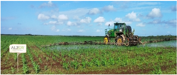 Cover image of ALZOR Biotechnologies, Agritech venture on VC4A