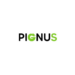 Venture Profile Pignus VR image of Dise O Sin T Tulo